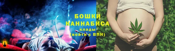 бошки Мегион