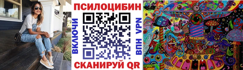 Псилоцибиновые грибы Magic Shrooms  Купить  Починок 